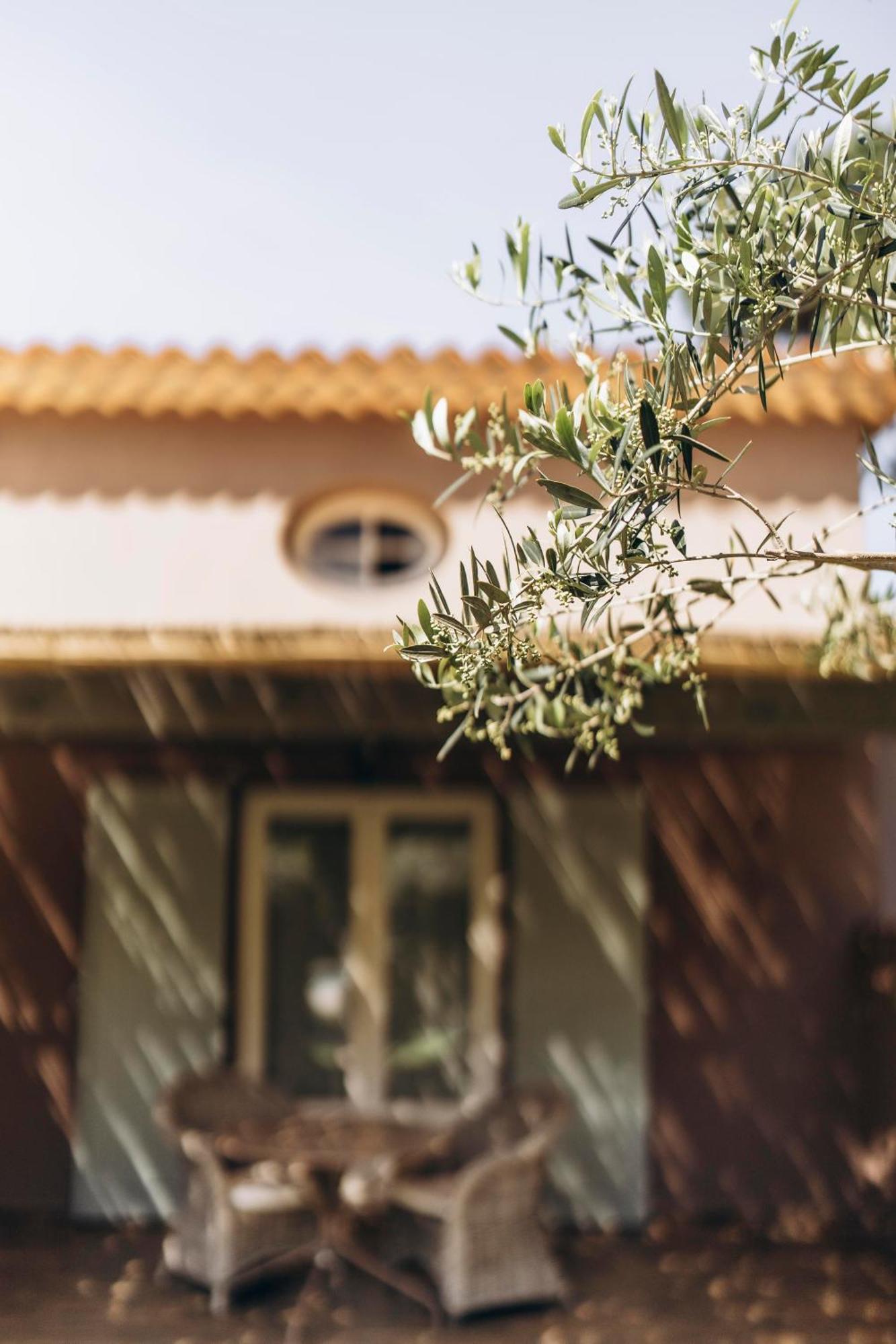 La Villa D'Andrea Ramatuelle Exteriér fotografie
