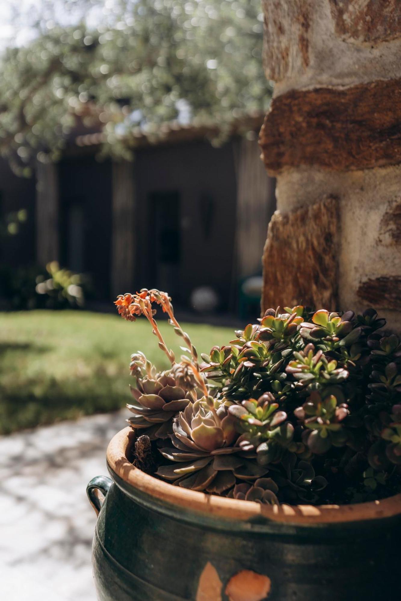 La Villa D'Andrea Ramatuelle Exteriér fotografie